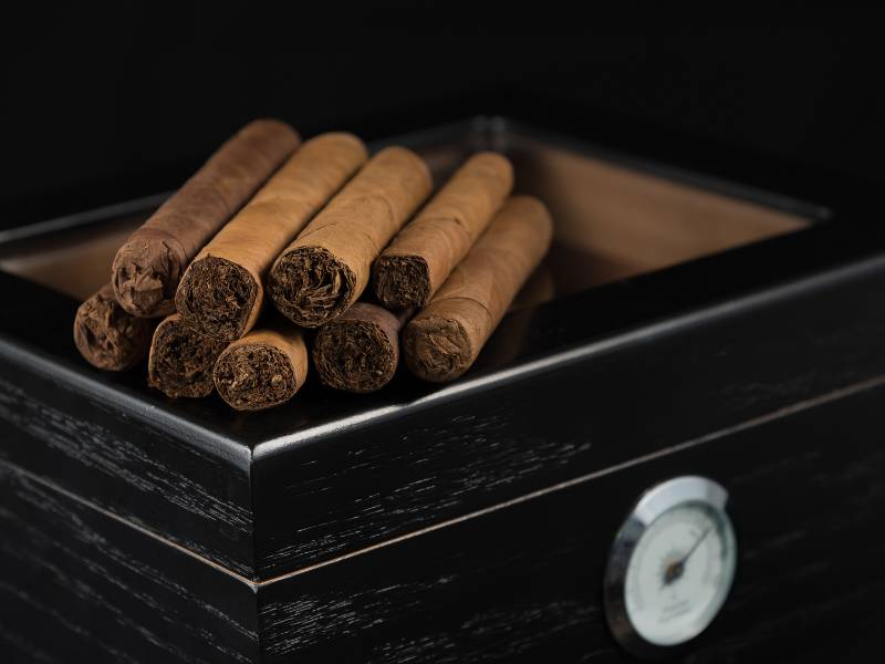 Plump cigars inside a humidor