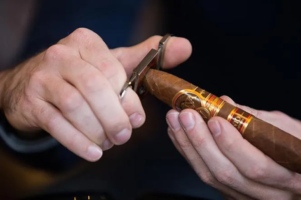 How to Cut a Cigar Properly? A Complete Guide - Your Elegant Bar