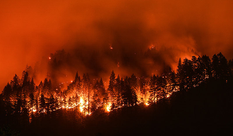 Wildfire putting off smoke that needs removal by one of the best air purifiers for smoke