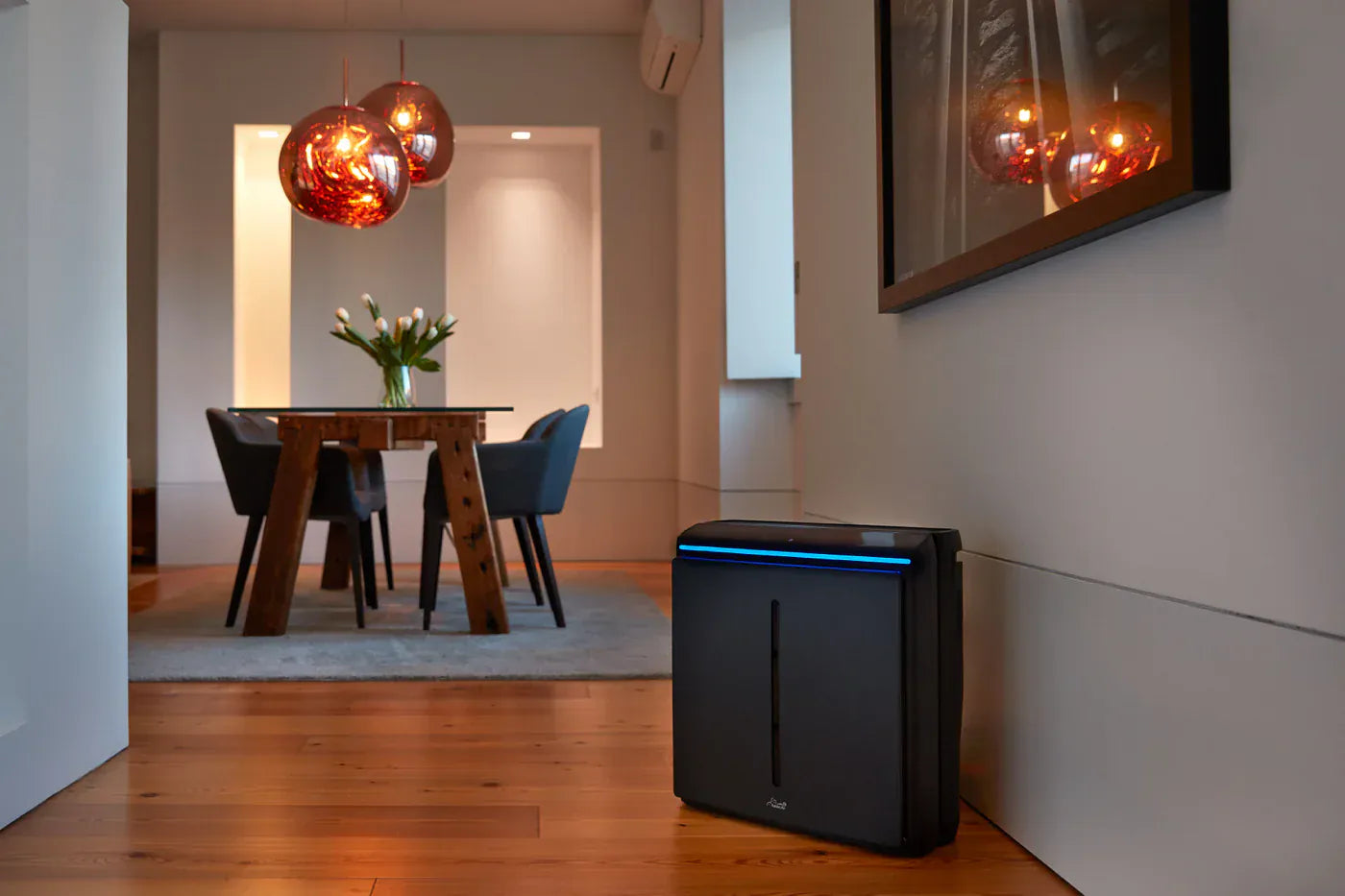 Rabbit Air Air Purifier A3 Ultra Quiet Air Purifier by Rabbit Air