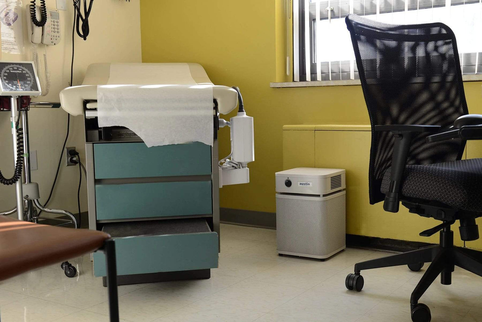 Austin Air Air Purifier Healthmate Plus Air Purifier by Austin Air