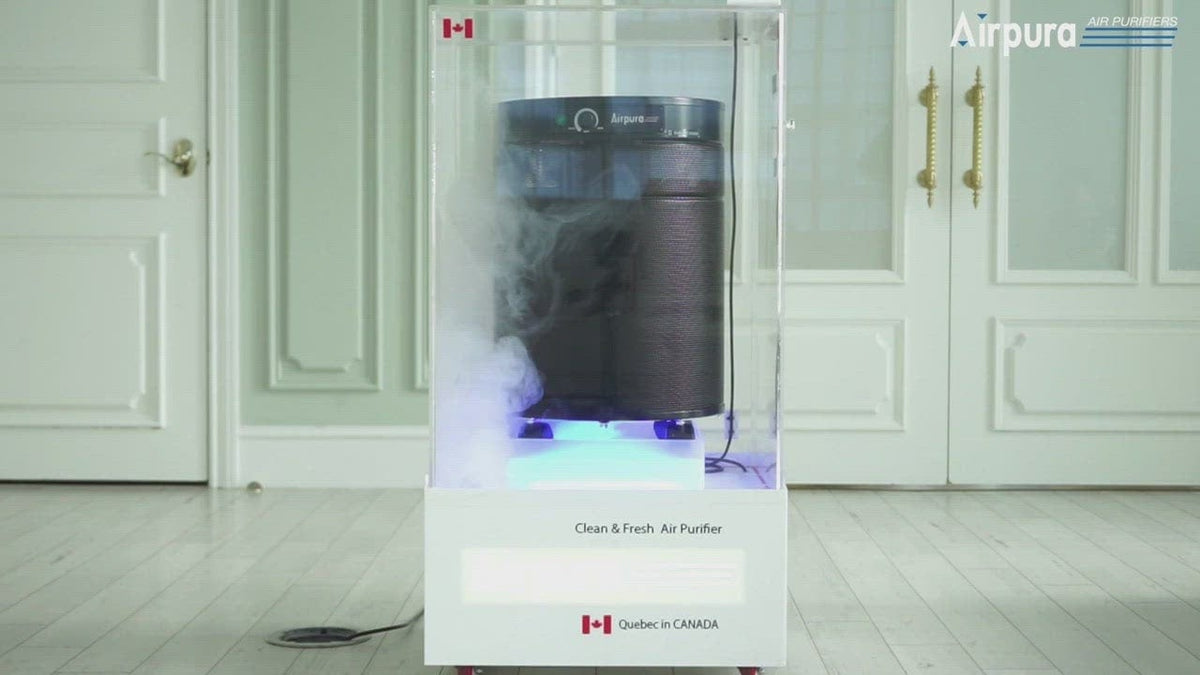 Airpura Air Purifier R700 All-Purpose Air Purifier for Chemicals & Particles