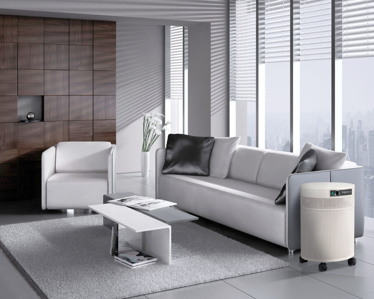 Airpura Air Purifier R700 All-Purpose Air Purifier for Chemicals & Particles
