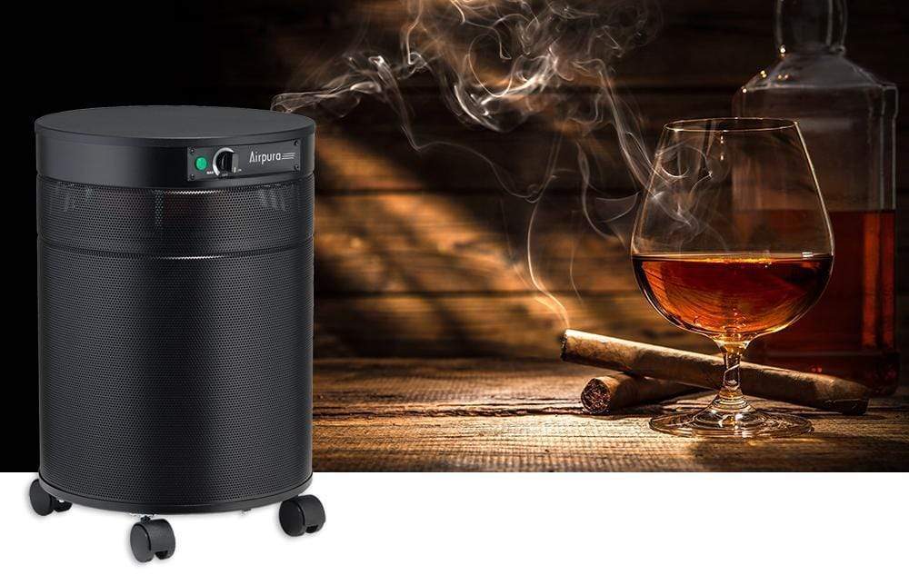 Airpura Air Purifier T600 DLX Air Purifier for Heavy Tobacco Smoke & VOCs by Airpura