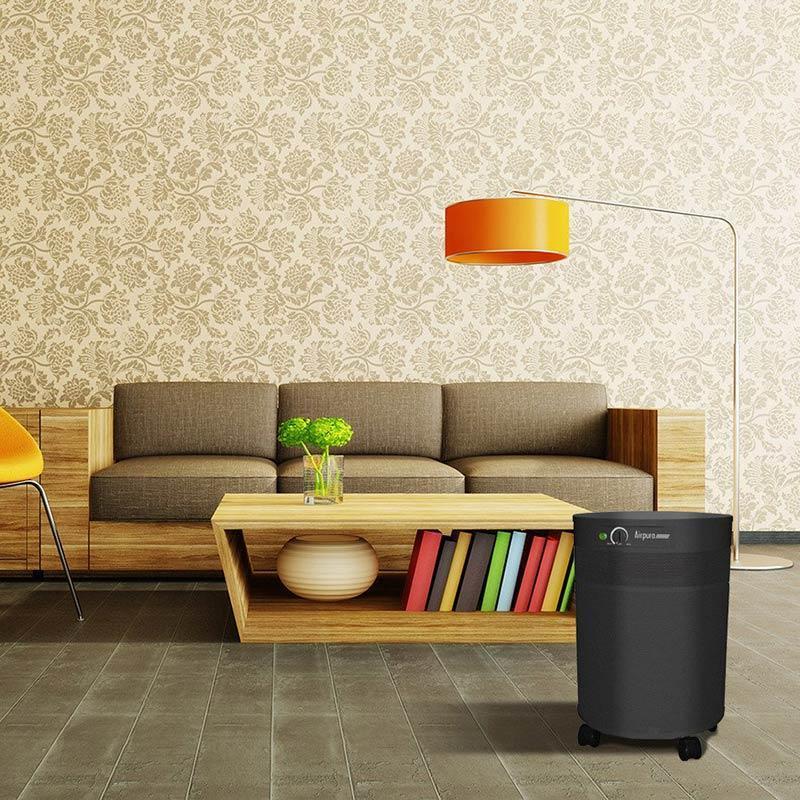 Airpura Air Purifier V600 Air Purifier for VOCs & Chemicals by Airpura