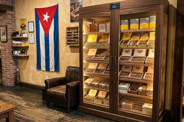 15 Best Humidors for Cuban Cigars