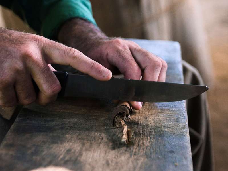 A man cutting a cigar using a knife