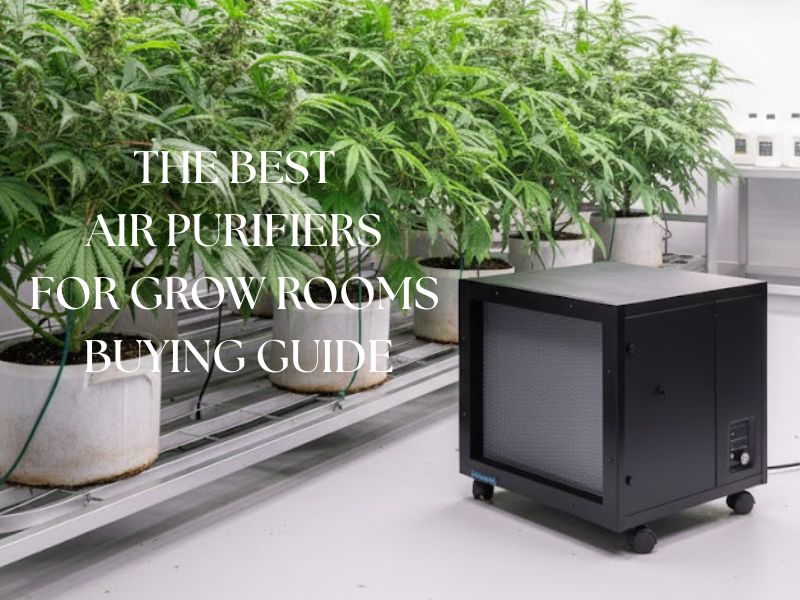 An air purifier in a marijuana grow room