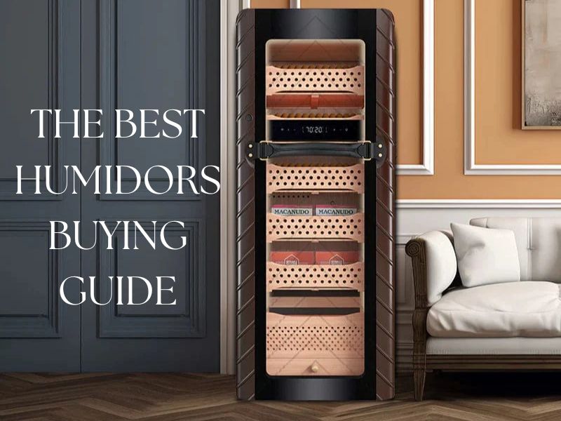 best humidors buying guide