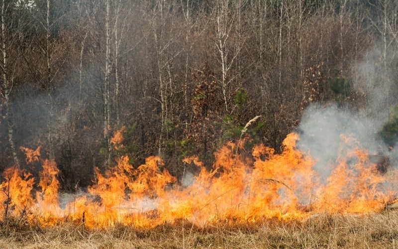 How to Clear Your Home of Wildfire Smoke