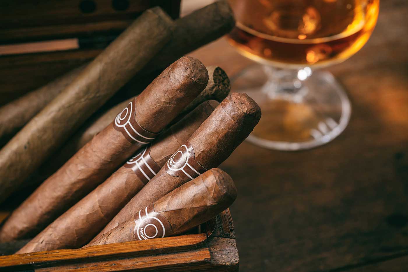 5 Must Have Cigar Accessories for The Ultimate Cigar Lover