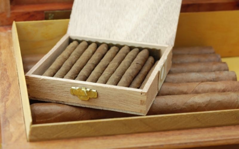 Cuban cigars in a humidor