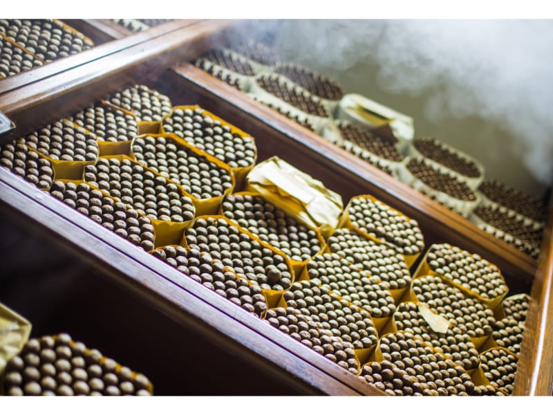 Cigar Upkeep: How Do Cigar Humidifiers Work?