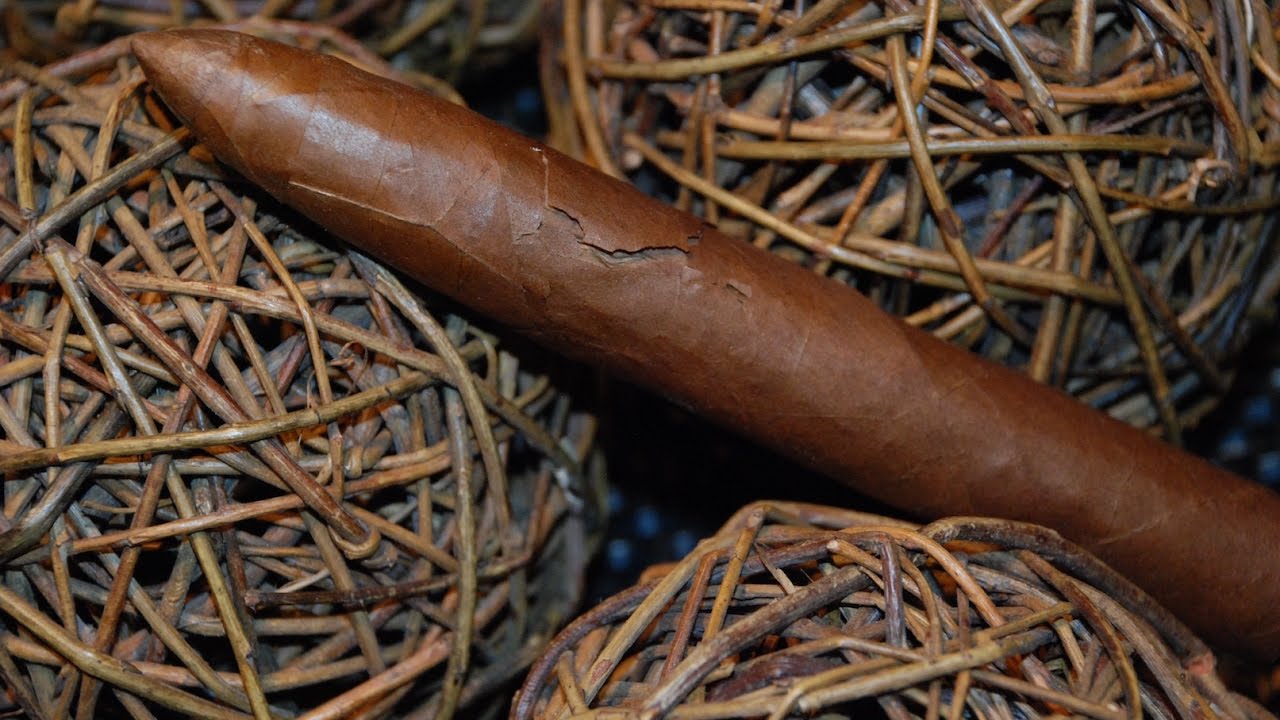 Why Do Cigars Crack and How to fix it