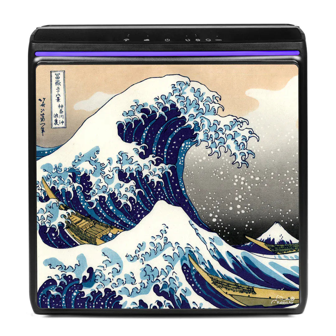 Rabbit Air Air Purifier A3 Artists Series Edition Ultra Quiet Air Purifier by Rabbit Air