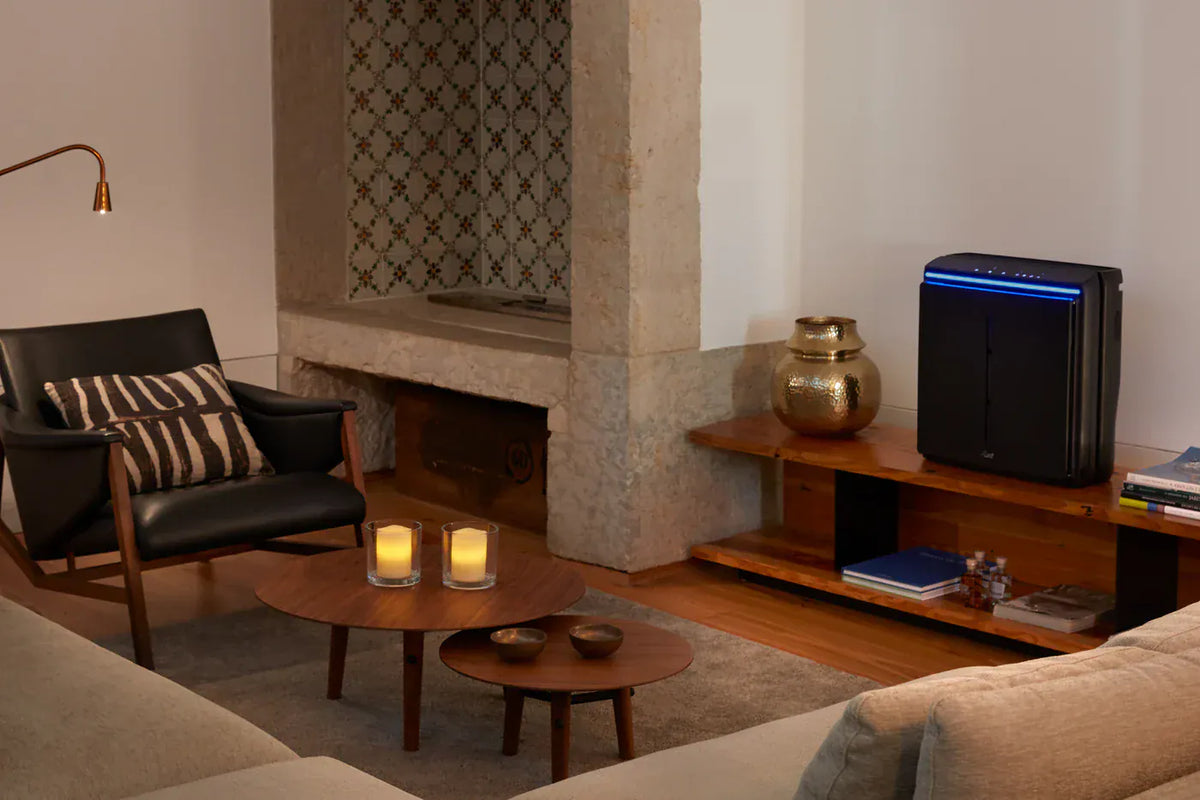 Rabbit Air Air Purifier A3 Ultra Quiet Air Purifier by Rabbit Air