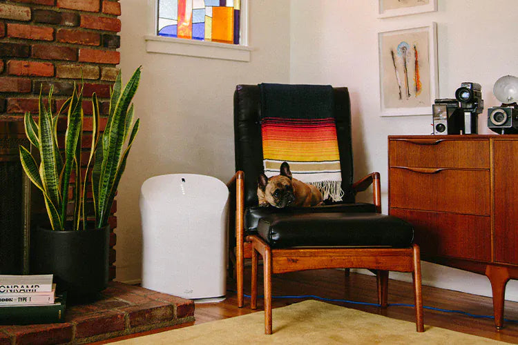 Rabbit Air Air Purifier BioGS 2.0 Ultra Quiet Air Purifier by Rabbit Air