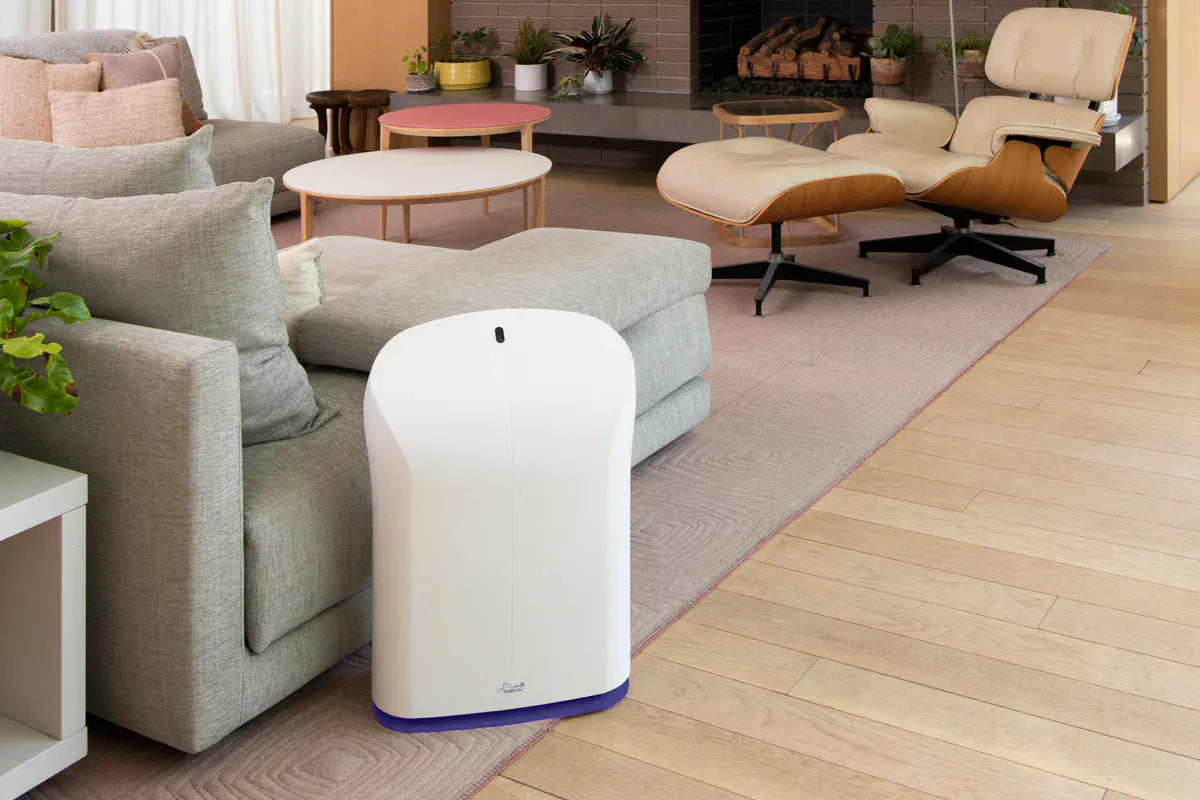 Rabbit Air Air Purifier BioGS 2.0 Ultra Quiet Air Purifier by Rabbit Air
