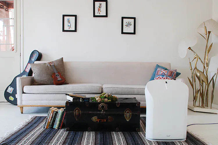 Rabbit Air Air Purifier BioGS 2.0 Ultra Quiet Air Purifier by Rabbit Air