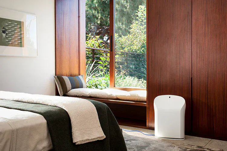 Rabbit Air Air Purifier BioGS 2.0 Ultra Quiet Air Purifier by Rabbit Air