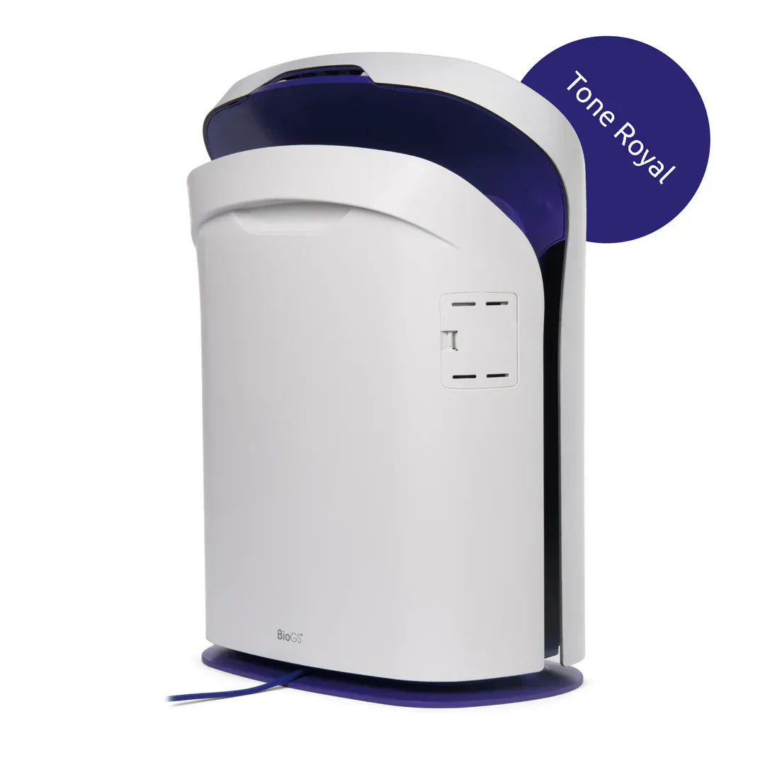 Rabbit Air Air Purifier SPA-550A (Covers 550 sq feet) / Royal BioGS 2.0 Ultra Quiet Air Purifier by Rabbit Air