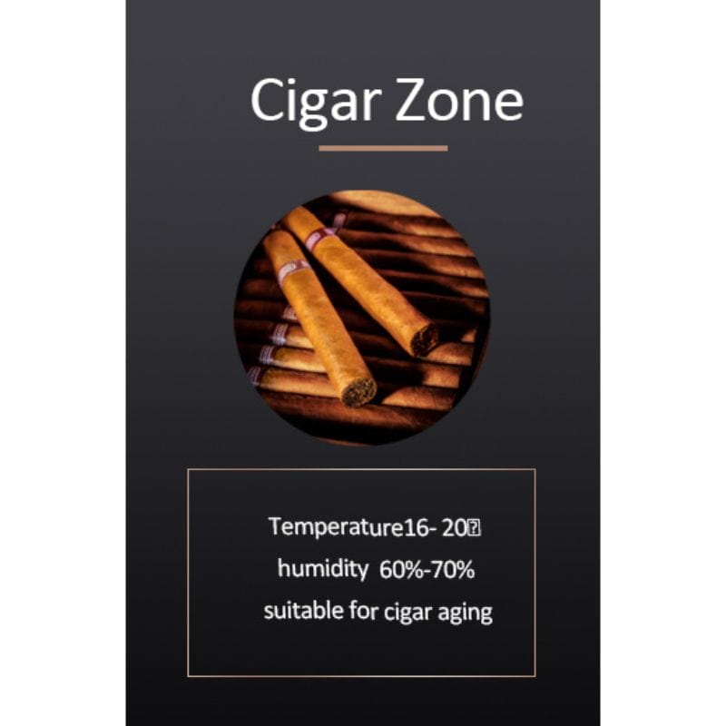 Raching Cigar cabinet humidors Raching CS600 Electronic Cigar Humidor Double Door Cabinet  | 4000 Cigars