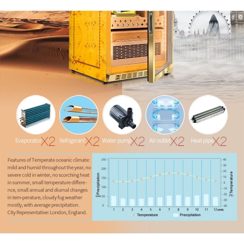 Raching HUMIDOR Raching MON800A Precision Climate Controlled Humidor | 600 Cigars