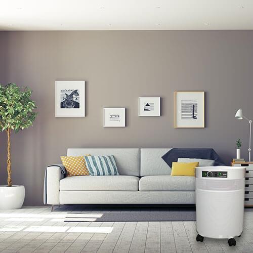 Airpura Air Purifier C600 DLX Air Purifier for VOCs &amp; Gas Abatement by Airpura