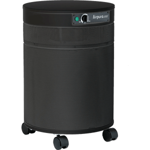 Airpura Air Purifier H600 Air Purifier for Severe Allergies & Asthma by Airpura