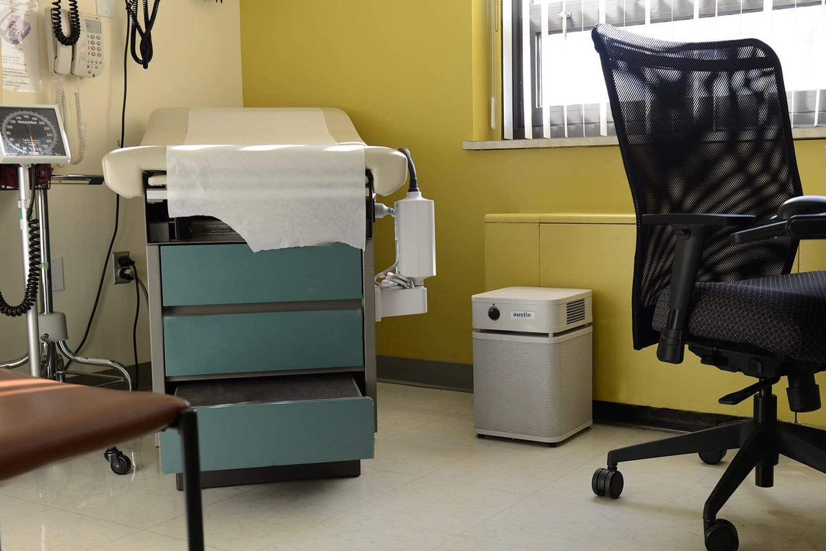 Austin Air Air Purifier Healthmate Plus Air Purifier by Austin Air