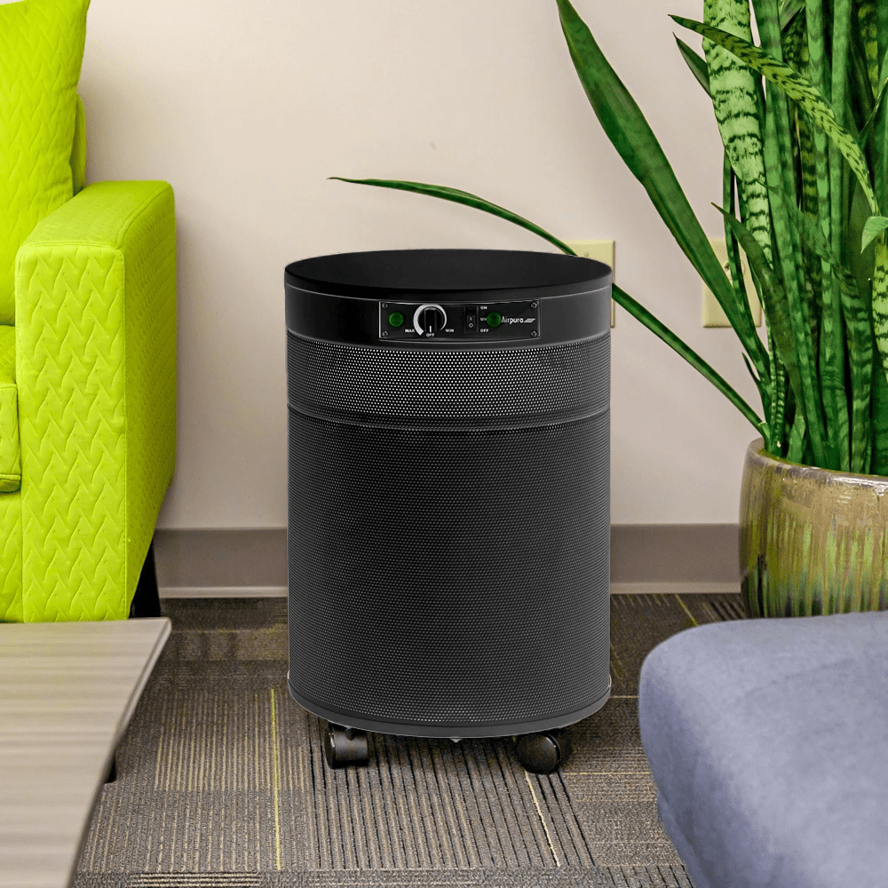 Airpura P600 HEPA TIO2 Filter Air Purifier Your Elegant Bar