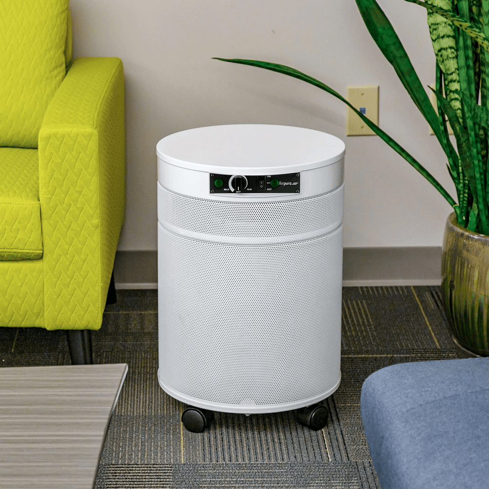 Airpura Air Purifier P600 TitanClean Air Purifier for Pathogens, Mold & Chemicals by Airpura, an excellent office air purifier