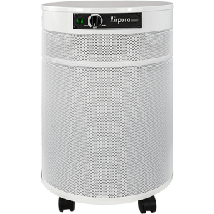 Airpura Air Purifier White T600 DLX Air Purifier for Heavy Tobacco Smoke & VOCs by Airpura, an excellent office air purifier