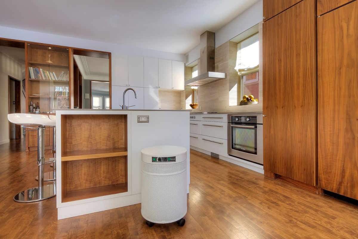 Airpura Air Purifier UV600 Air Purifier for Bacteria & Germs by Airpura